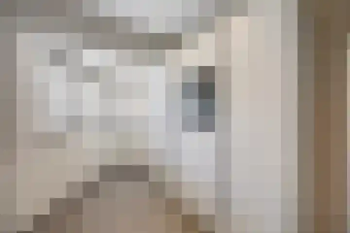 Steenakker 18 Gendt thumbnail 12