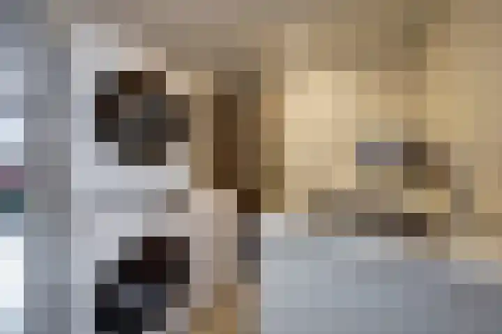 Steenakker 18 Gendt thumbnail 18