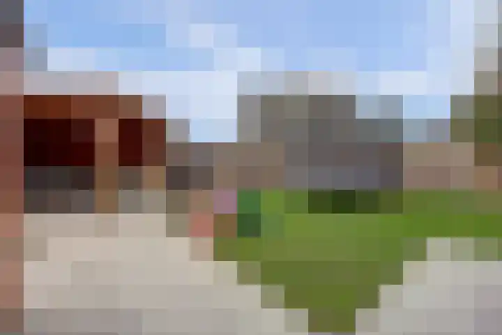 Steenakker 18 Gendt thumbnail 21