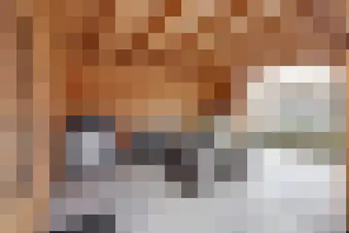 Steenakker 18 Gendt thumbnail 22