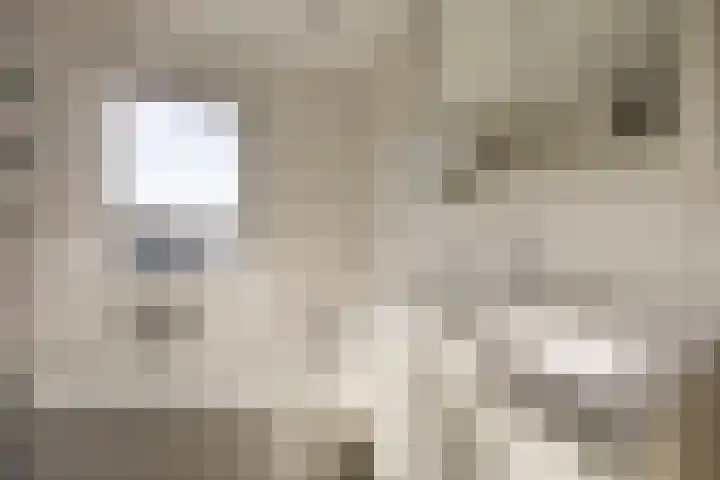 Steenakker 18 Gendt thumbnail 28
