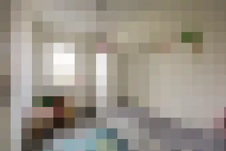 Steenakker 18 Gendt thumbnail 31