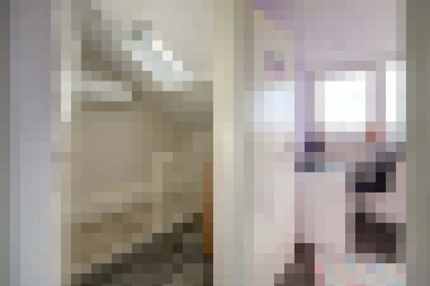 Steenakker 18 Gendt thumbnail 33