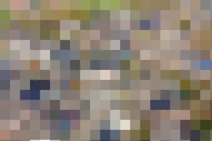 Steenakker 18 Gendt thumbnail 40