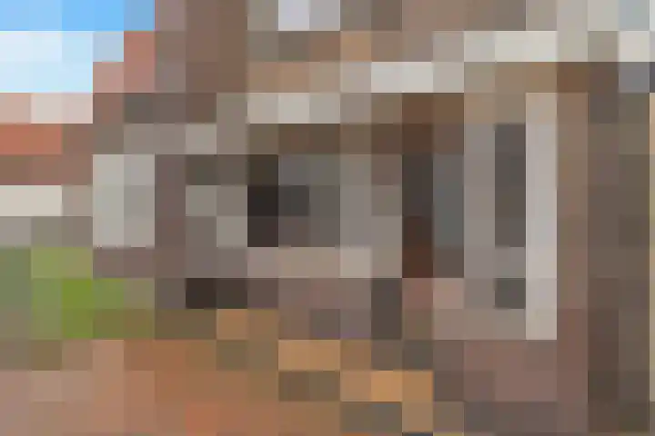 Steenakker 18 Gendt thumbnail 41
