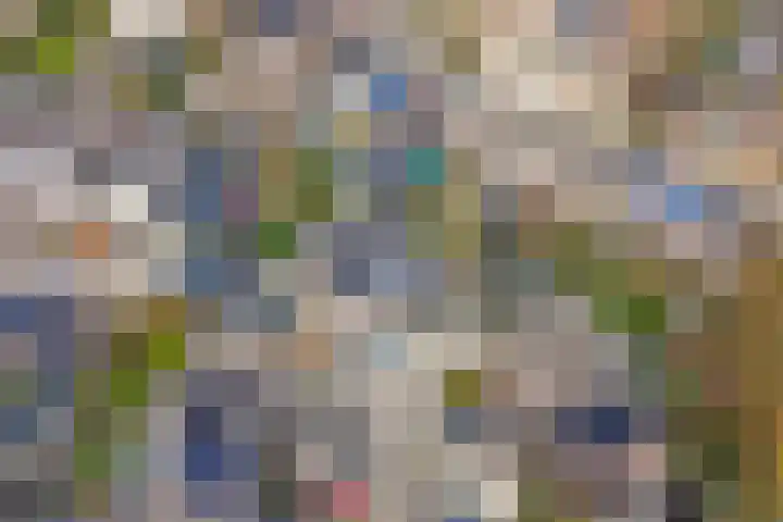 Steenakker 18 Gendt thumbnail 41