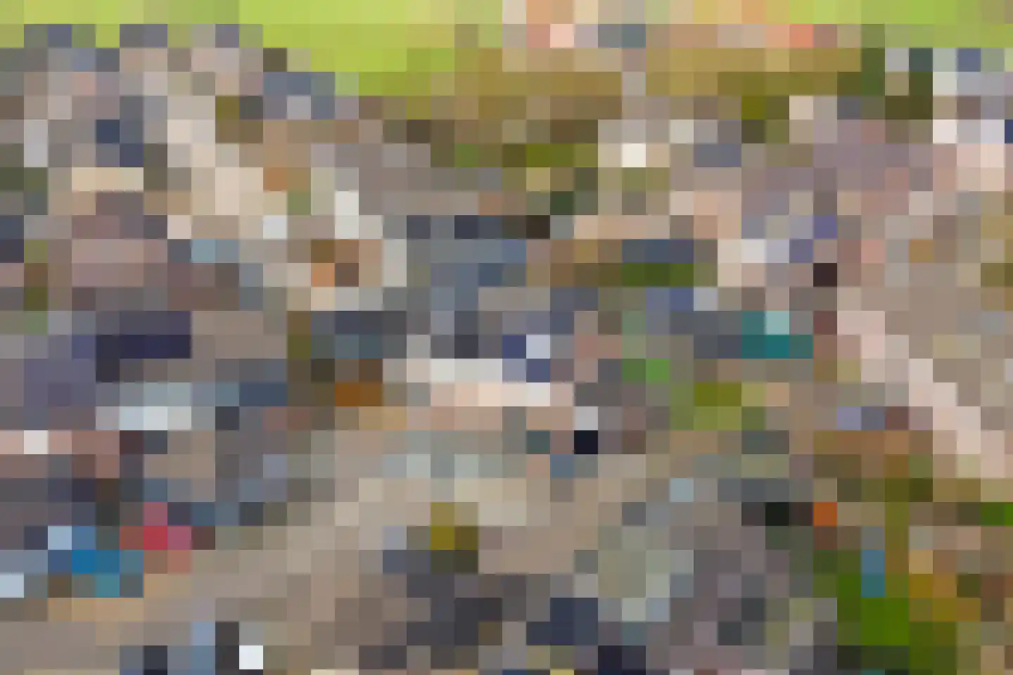 Steenakker 18 Gendt thumbnail 43