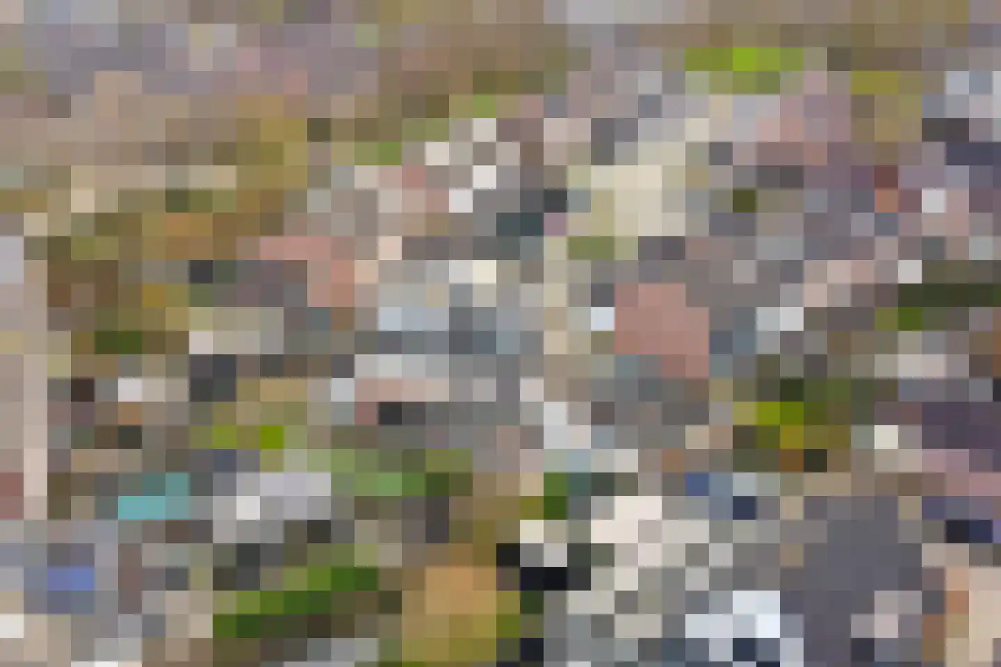 Steenakker 18 Gendt thumbnail 44