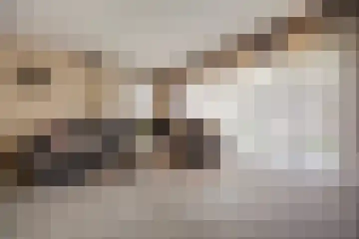 Steenakker 18 Gendt thumbnail 7