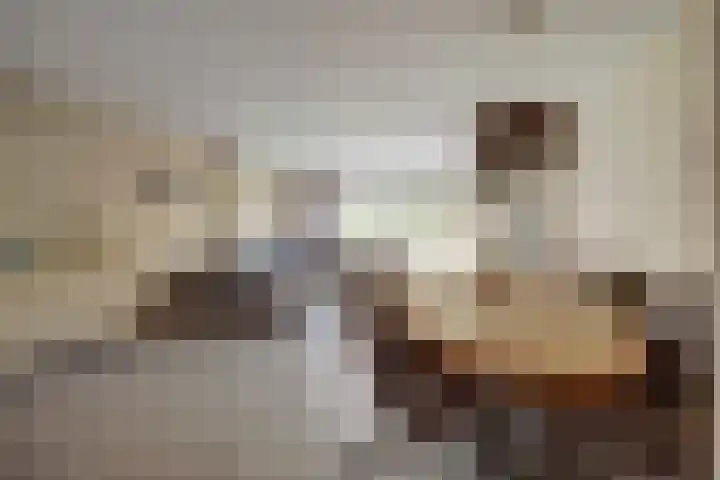 Steenakker 18 Gendt thumbnail 9
