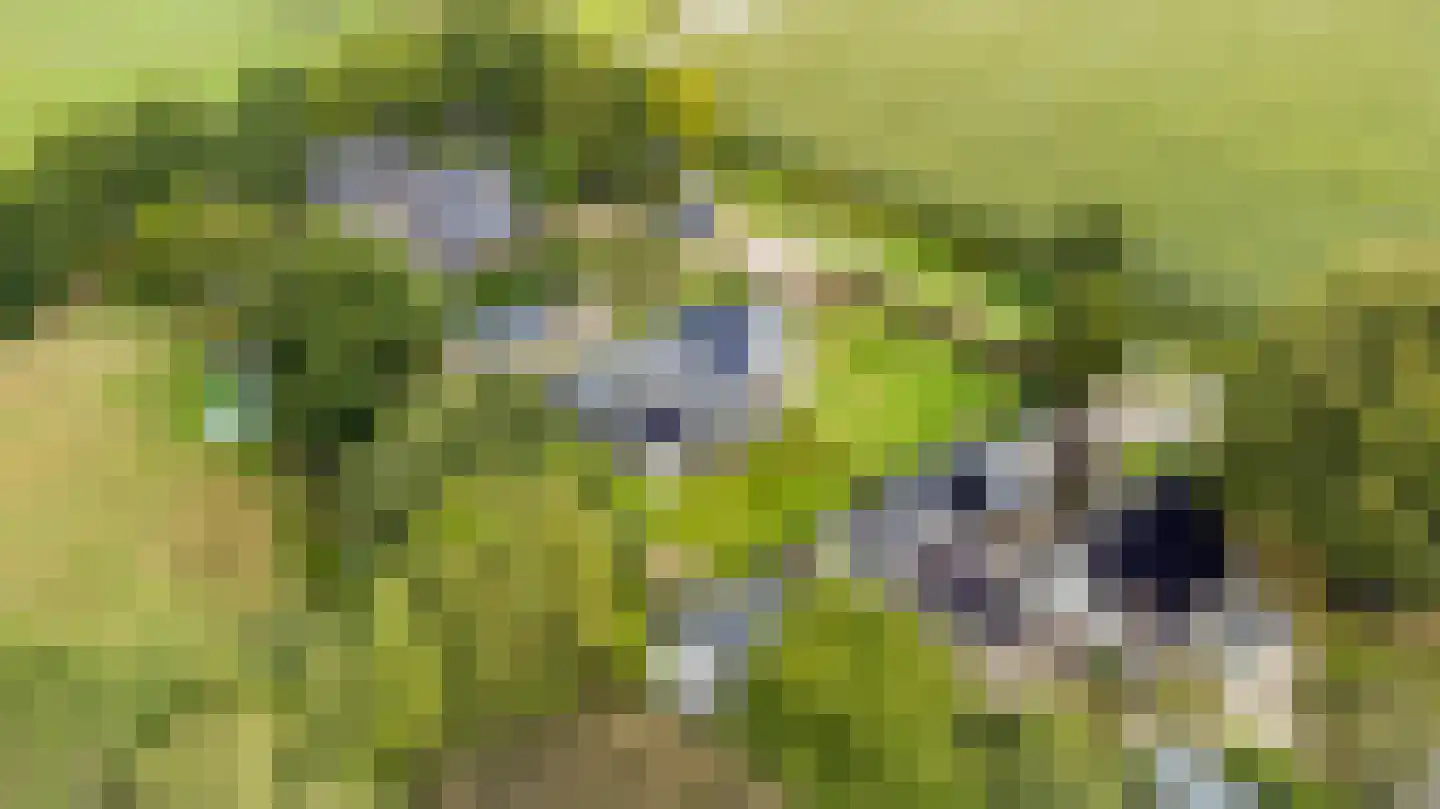 Steenakker 18 Hedel