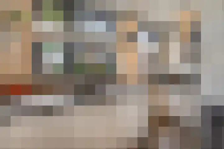 Steenakker 18 Hedel thumbnail 10
