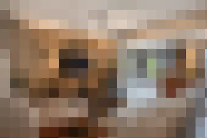 Steenakker 18 Hedel thumbnail 11
