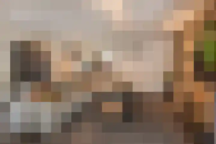 Steenakker 18 Hedel thumbnail 13