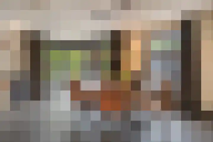 Steenakker 18 Hedel thumbnail 14