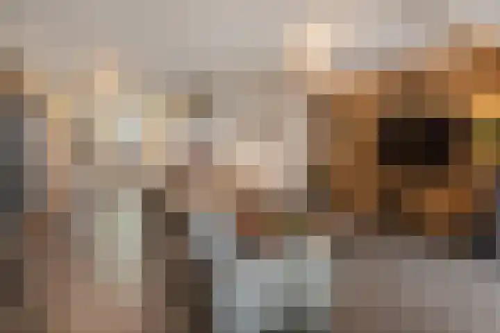 Steenakker 18 Hedel thumbnail 15
