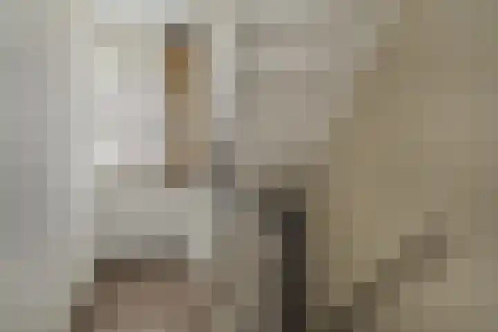 Steenakker 18 Hedel thumbnail 16