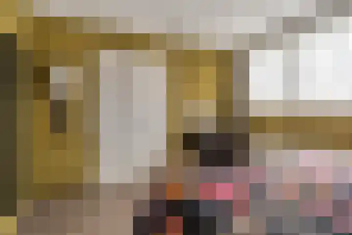 Steenakker 18 Hedel thumbnail 19