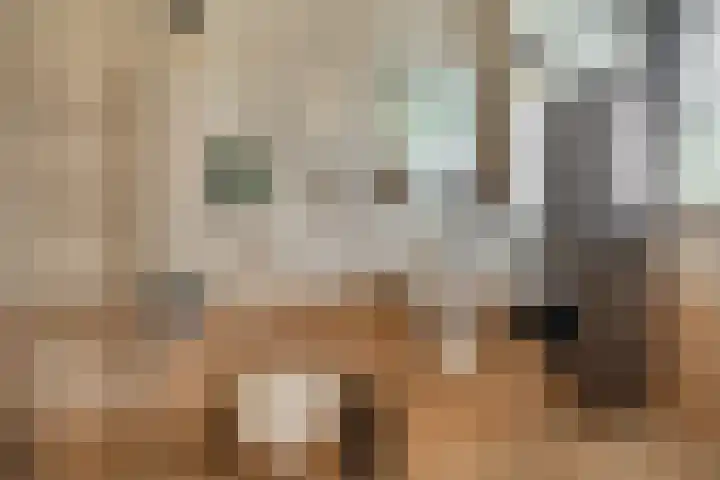 Steenakker 18 Hedel thumbnail 22