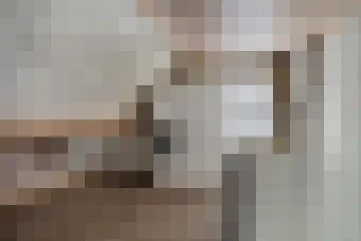 Steenakker 18 Hedel thumbnail 23