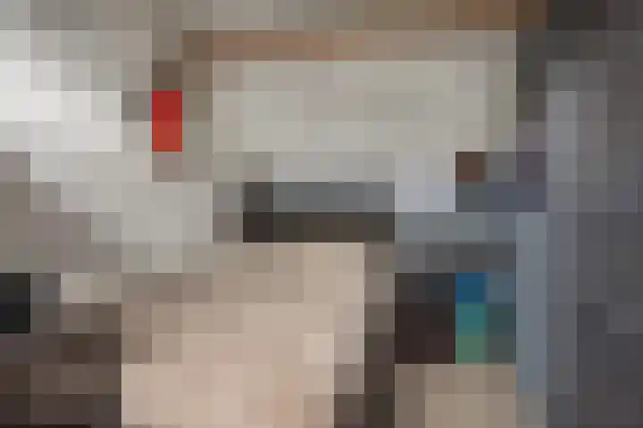Steenakker 18 Hedel thumbnail 24