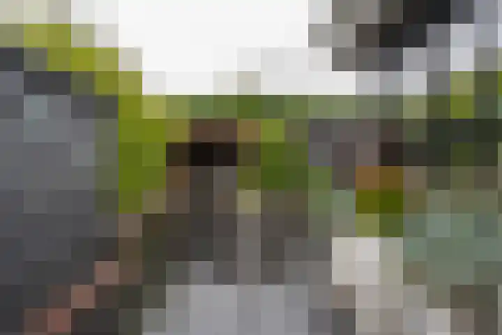 Steenakker 18 Hedel thumbnail 25