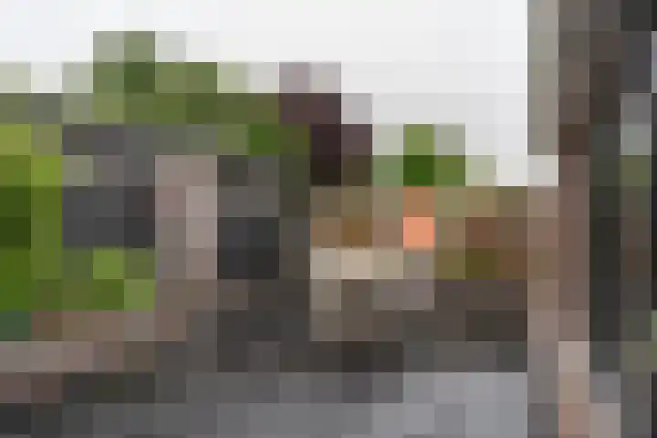 Steenakker 18 Hedel thumbnail 26