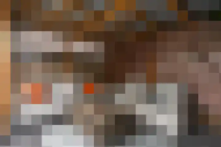 Steenakker 18 Hedel thumbnail 30