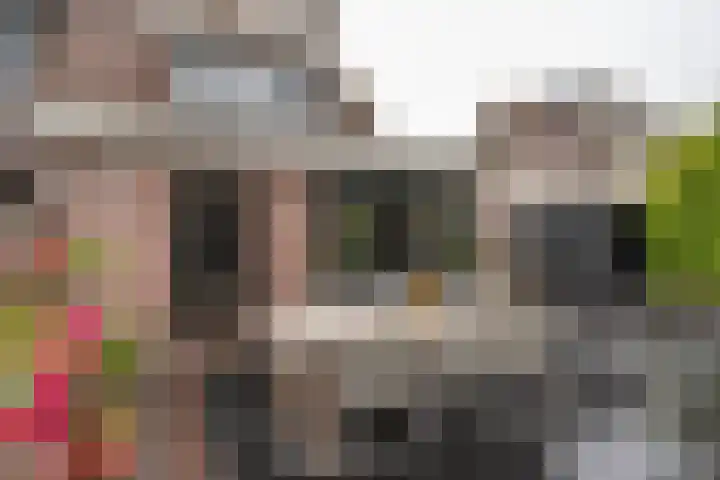 Steenakker 18 Hedel thumbnail 31