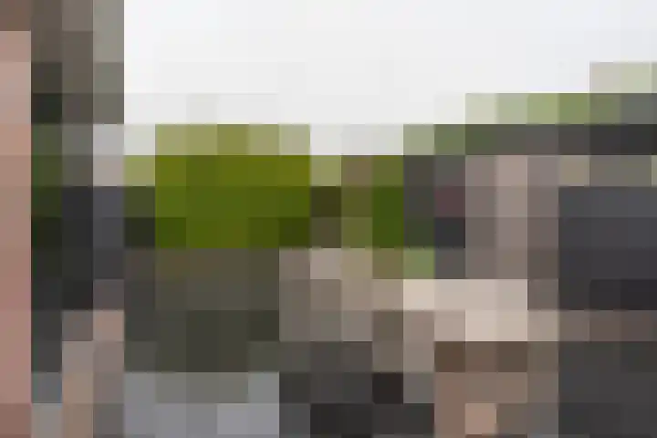 Steenakker 18 Hedel thumbnail 32