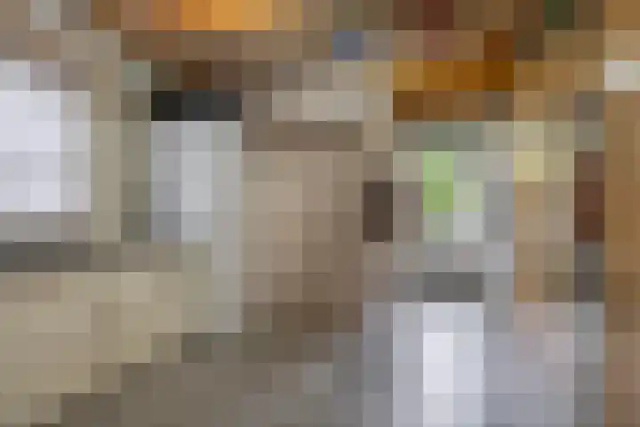 Steenakker 18 Hedel thumbnail 33