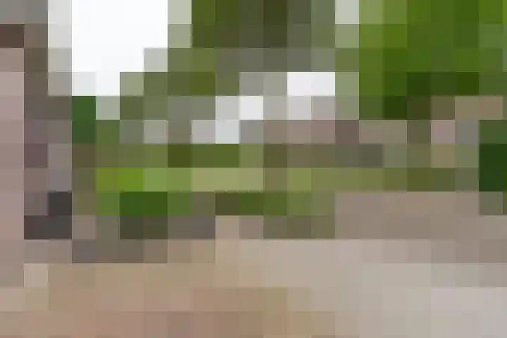 Steenakker 18 Hedel thumbnail 34