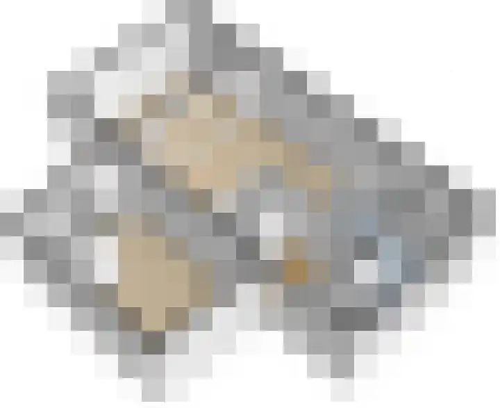 Steenakker 18 Hedel thumbnail 39