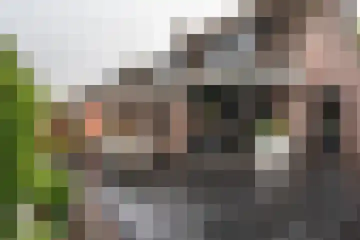Steenakker 18 Hedel thumbnail 4