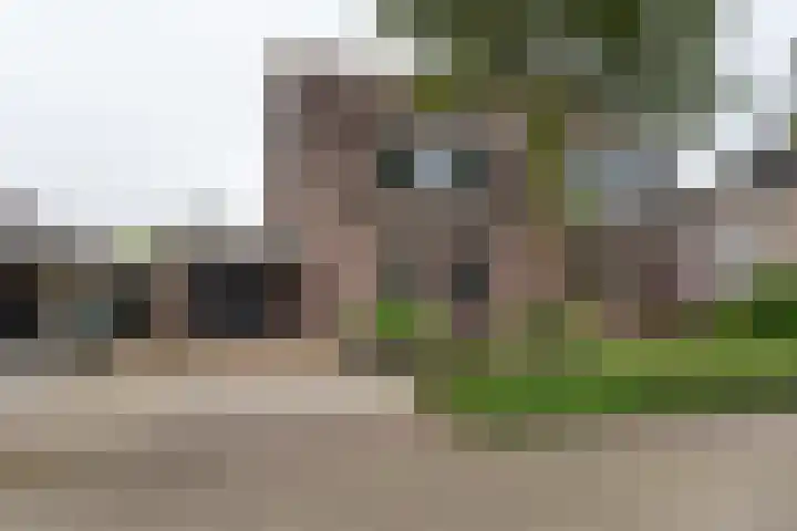 Steenakker 18 Hedel thumbnail 42