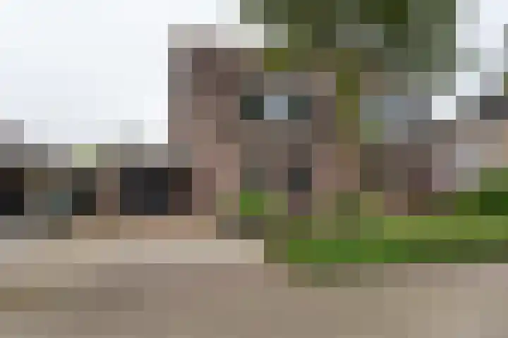 Steenakker 18 Hedel thumbnail 5