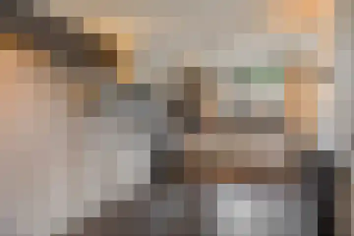 Steenakker 18 Hedel thumbnail 9