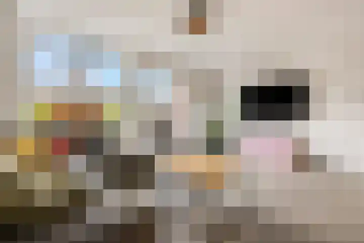 Steenakker 24 Gendt thumbnail 10