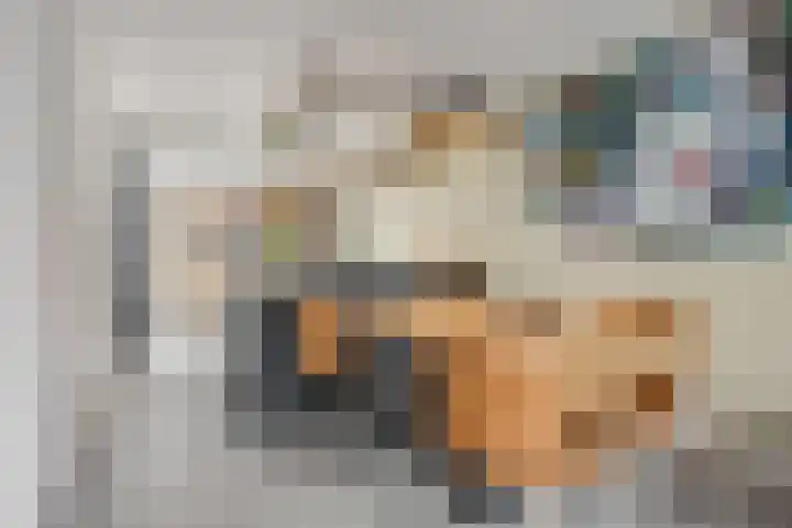 Steenakker 24 Gendt thumbnail 11