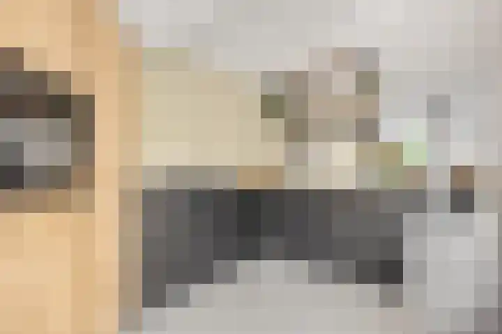 Steenakker 24 Gendt thumbnail 20