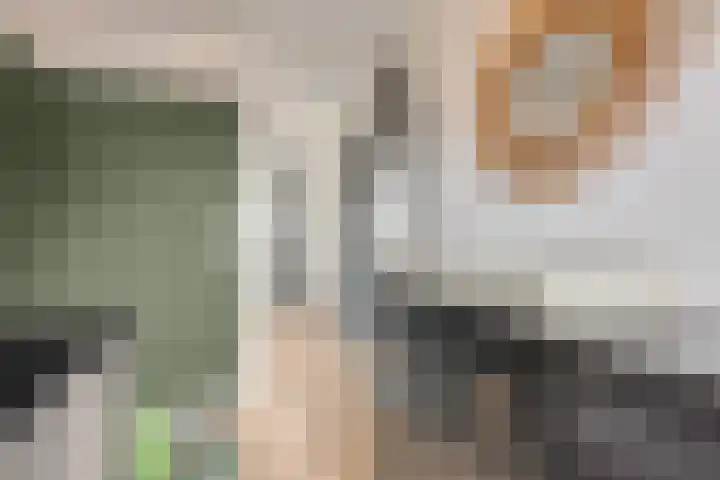 Steenakker 24 Gendt thumbnail 22