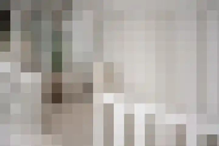 Steenakker 24 Gendt thumbnail 28