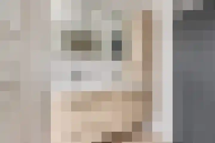 Steenakker 24 Gendt thumbnail 33