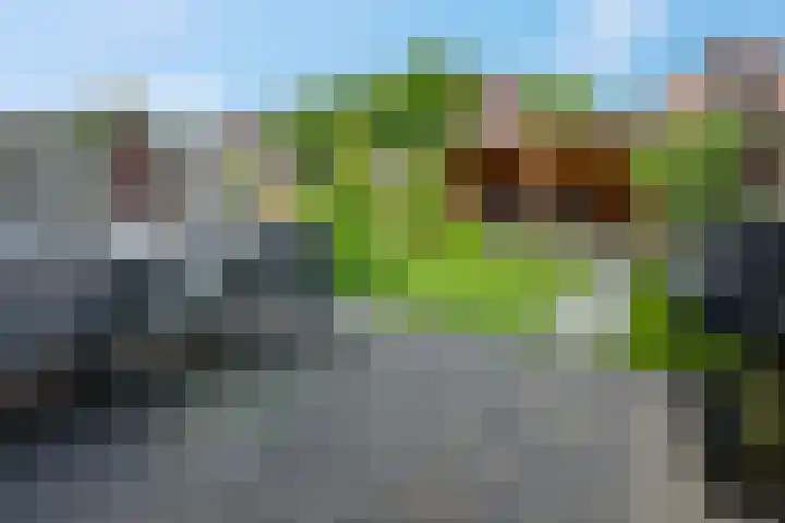 Steenakker 24 Gendt thumbnail 37