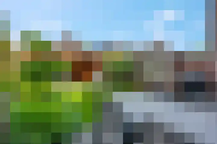 Steenakker 24 Gendt thumbnail 38