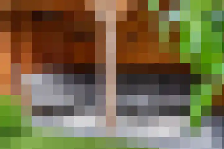 Steenakker 24 Gendt thumbnail 39