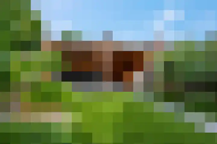 Steenakker 24 Gendt thumbnail 41
