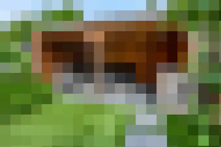Steenakker 24 Gendt thumbnail 42