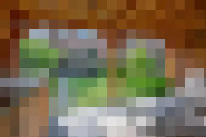 Steenakker 24 Gendt thumbnail 44