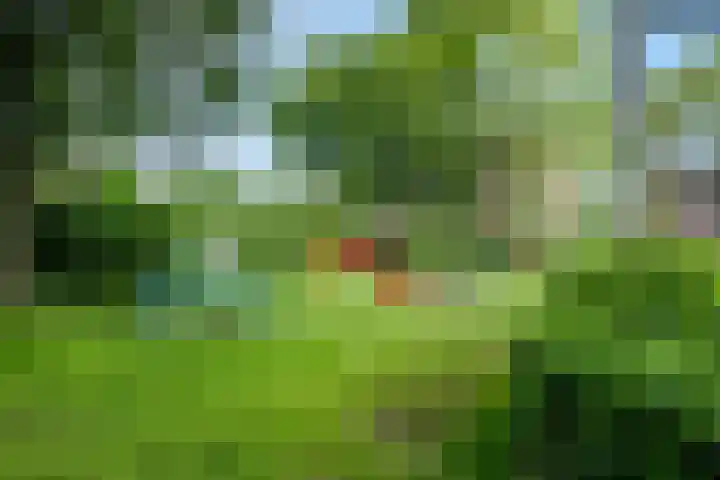 Steenakker 24 Gendt thumbnail 48